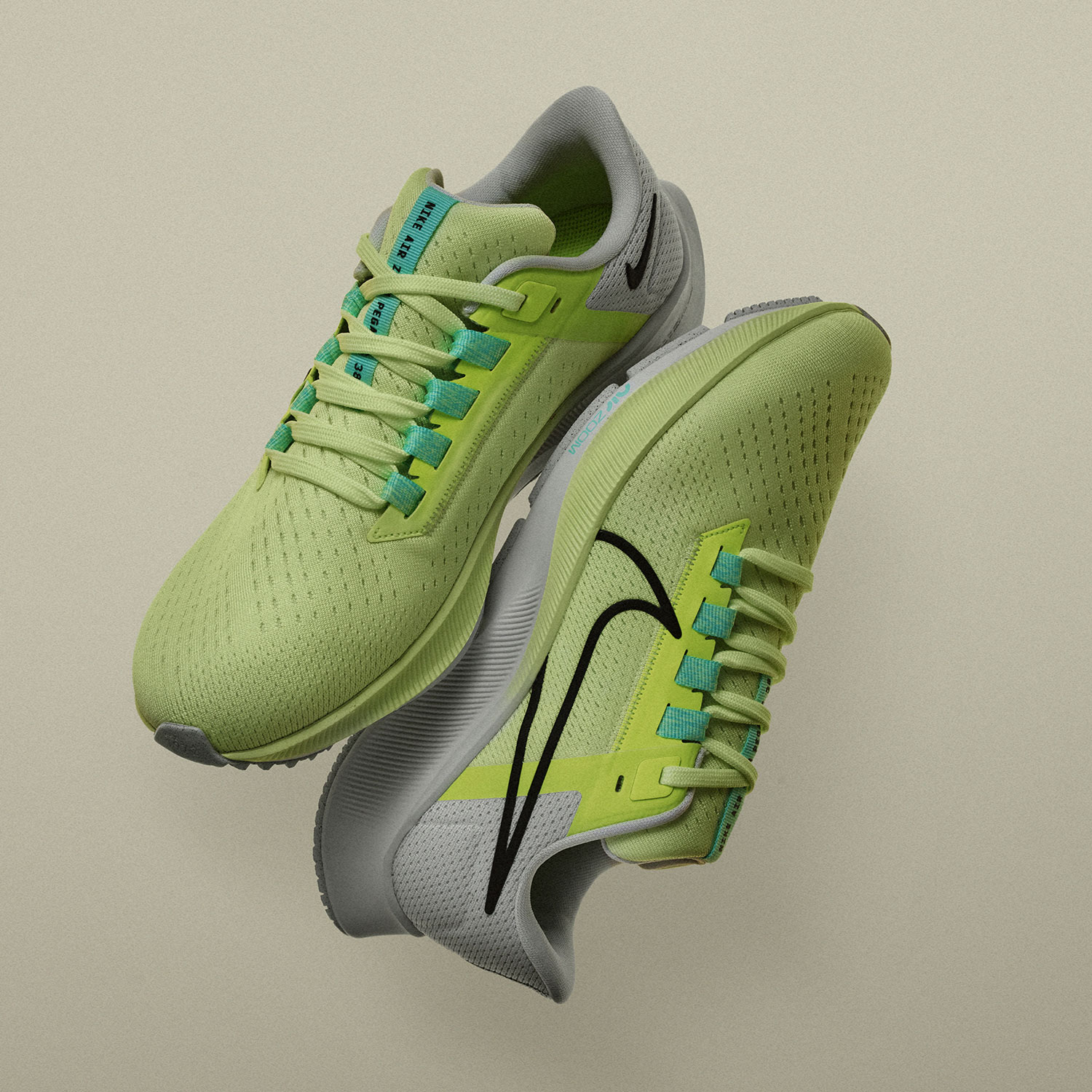 nike pegasus zoom