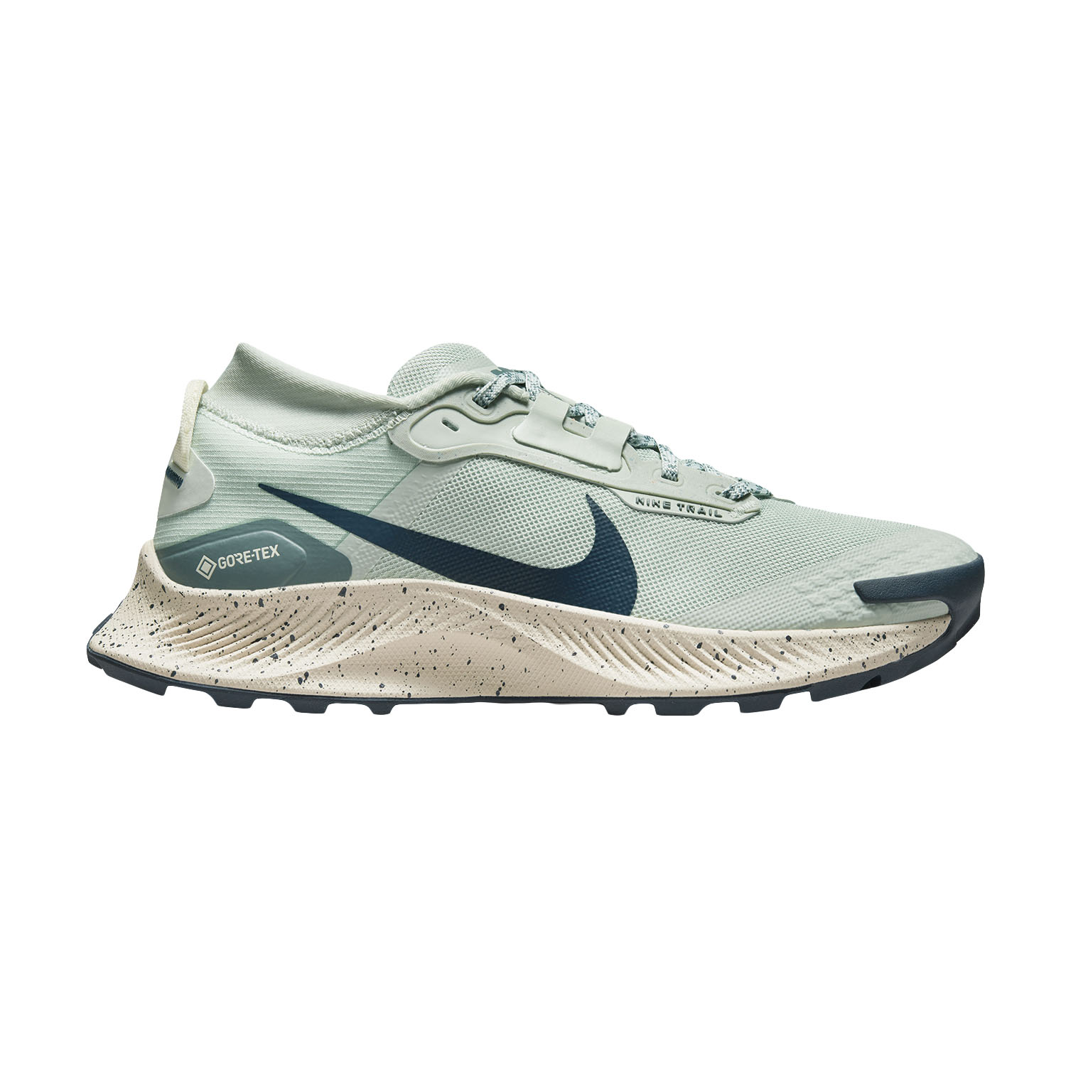 air pegasus trail gtx
