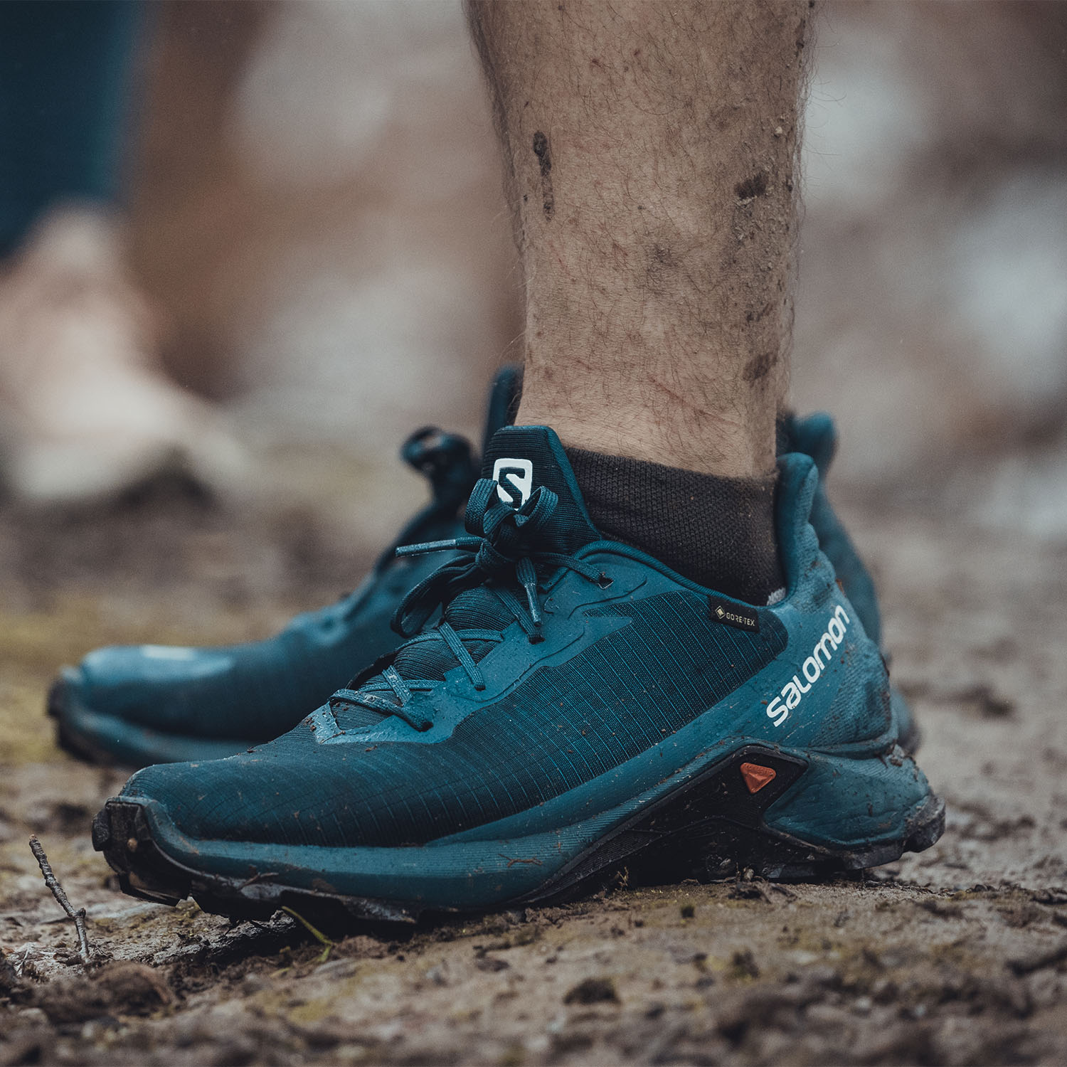 salomon alphacross gtx 3