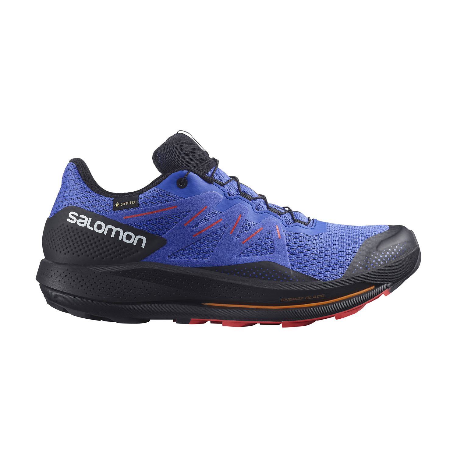 salomon s lab soldes