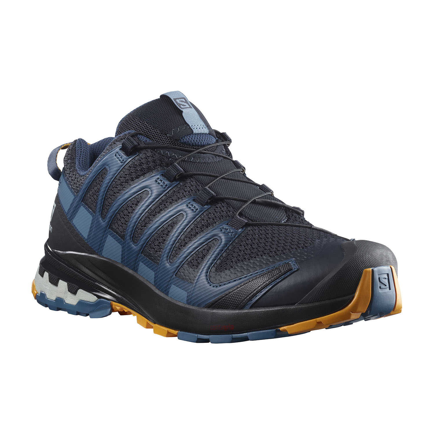 salomon xa pro v8