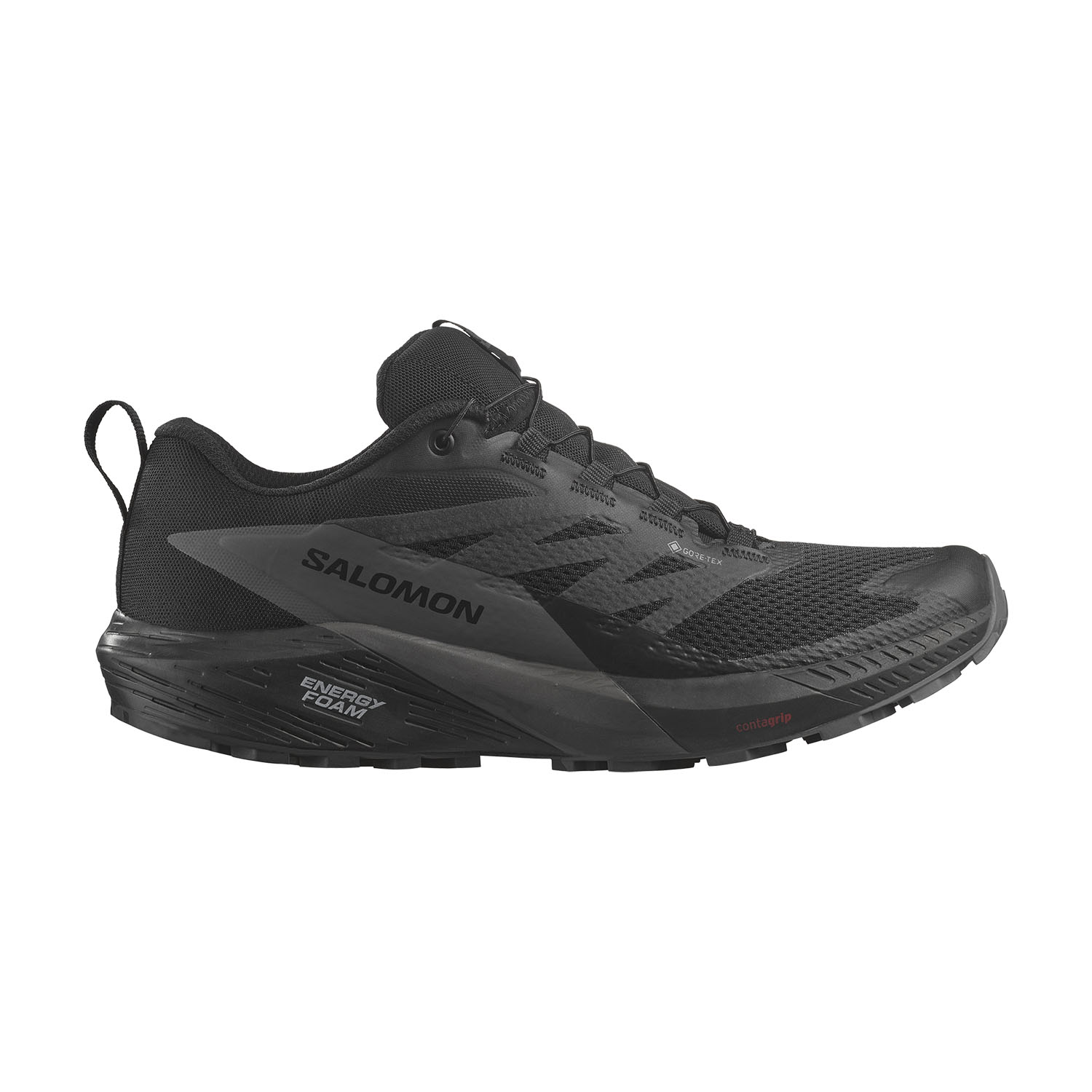 Salomon Sense Ride 5 GTX - Black/Magnet