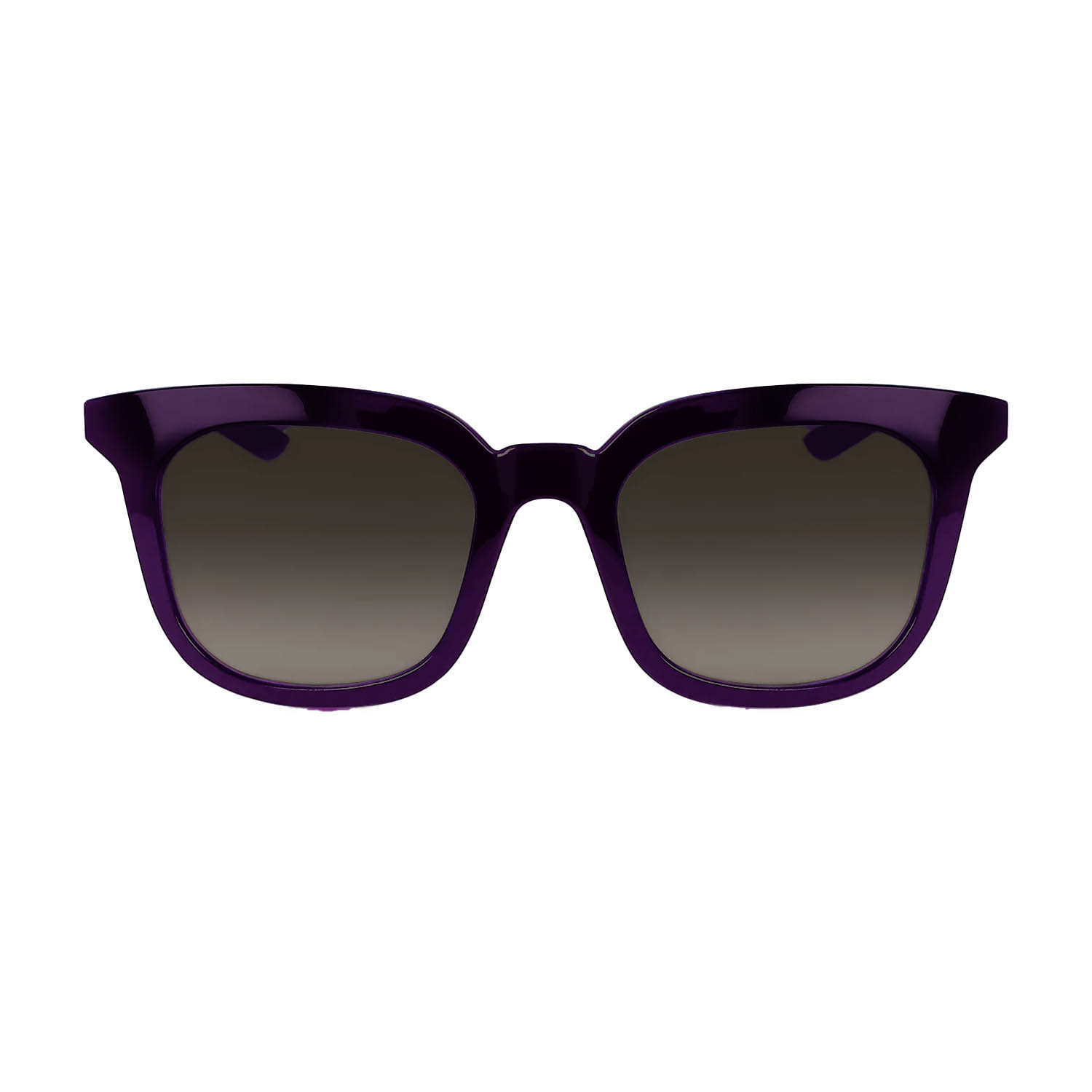 Nike Myriad Gafas de sol - Violet/Marron Gradient