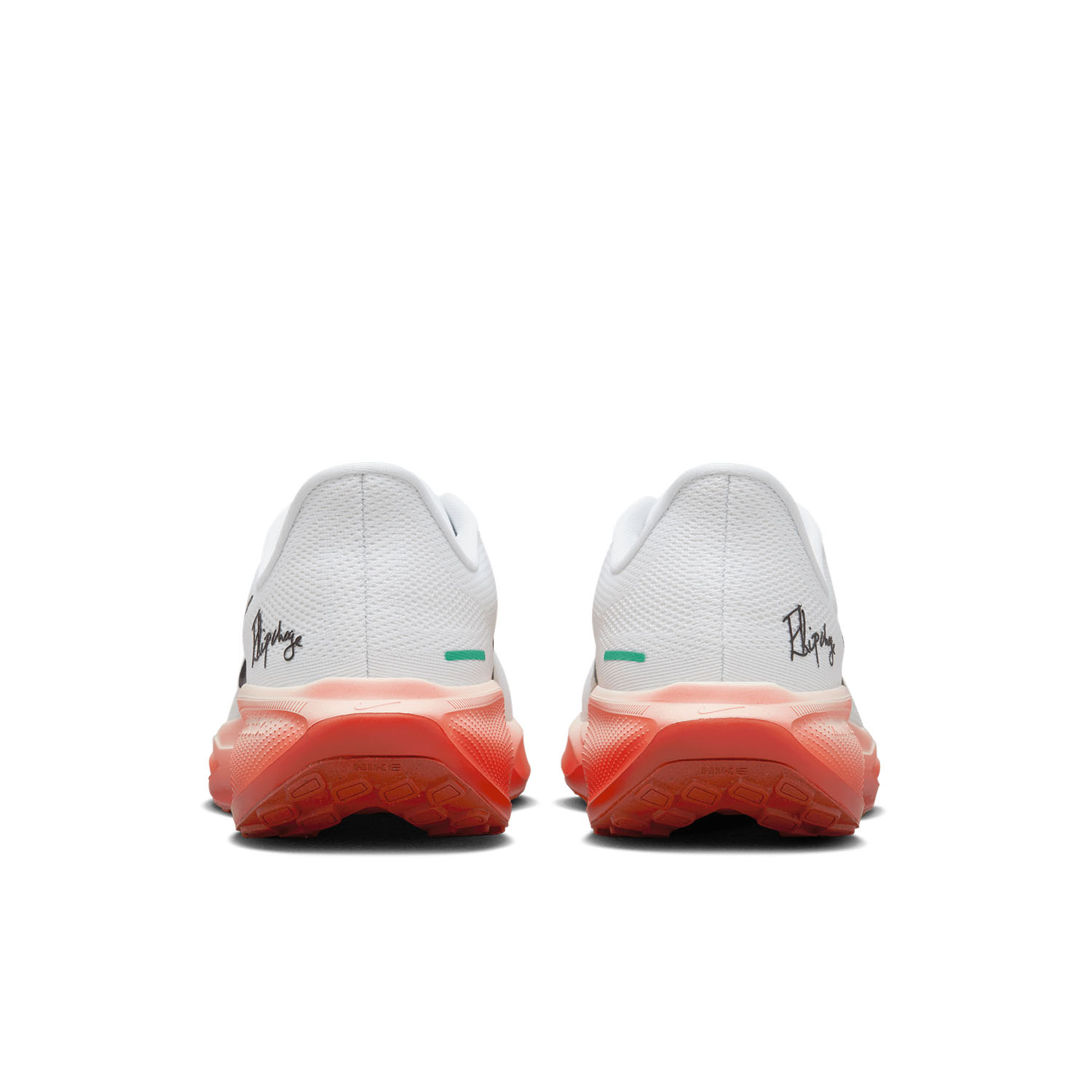 Nike pegasus 30 uomo bianche discount