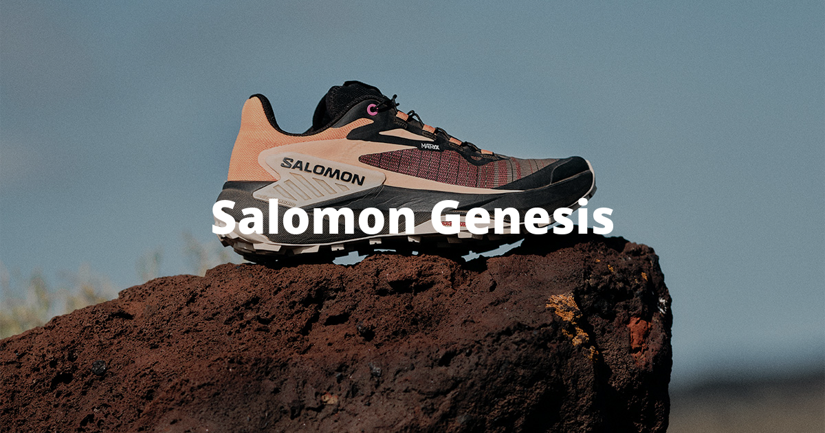 Salomon Genesis: starting from the origins