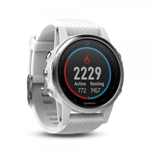 Garmin Fenix 5S - Silver/White