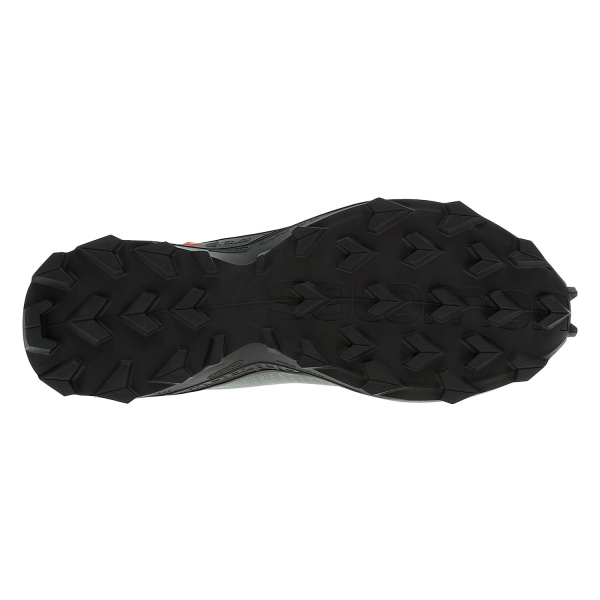 Salomon Alphacross GTX - Castor Gray/Ebony/Black