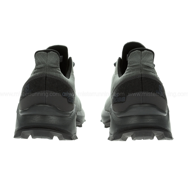 Salomon Alphacross GTX - Castor Gray/Ebony/Black