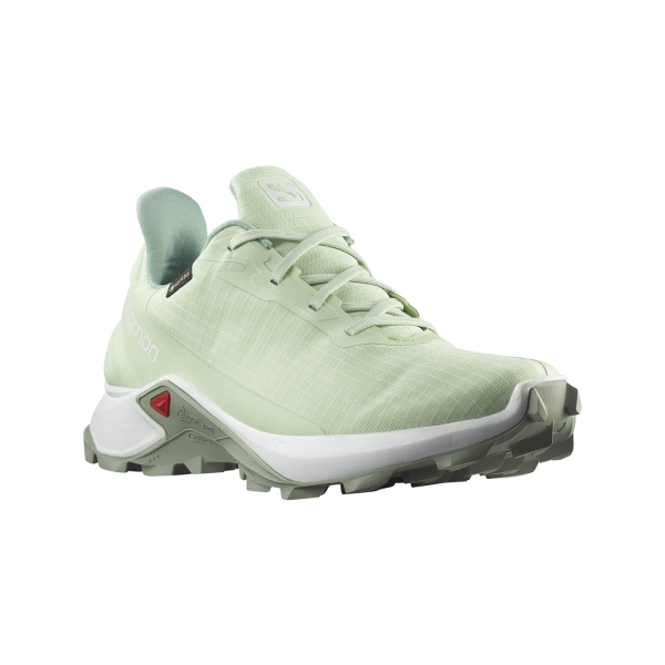 Salomon Alphacross 3 GTX - Black