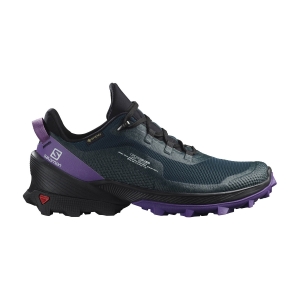 Men's Outdoor Shoes Salomon Cross Over GTX  Ponderosa/Black/Royal Lilac L41445000