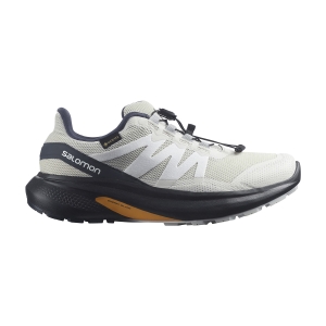 Women's Trail Running Shoes Salomon Hypulse GTX  Lunar Rock/Enony/White L41596400