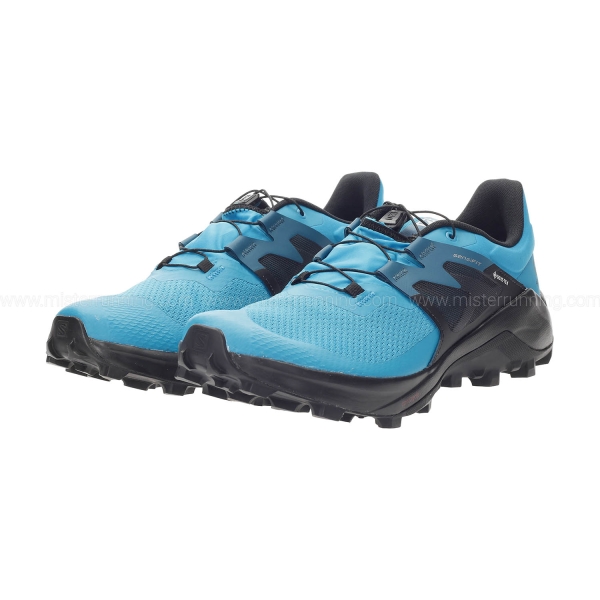 Salomon Wildcross 2 GTX - Barry Reef/Black/Mallard Blue