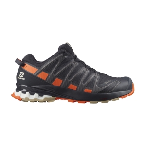 Men's Outdoor Shoes Salomon XA Pro 3D V8 GTX  Night Sky/Red Orange/Safari L41444400