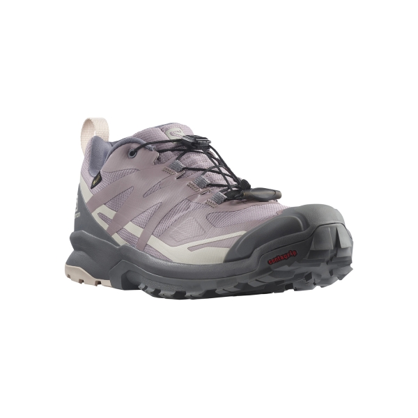 Salomon XA Rogg 2 GTX - Quail/Frost Gray/Morganite