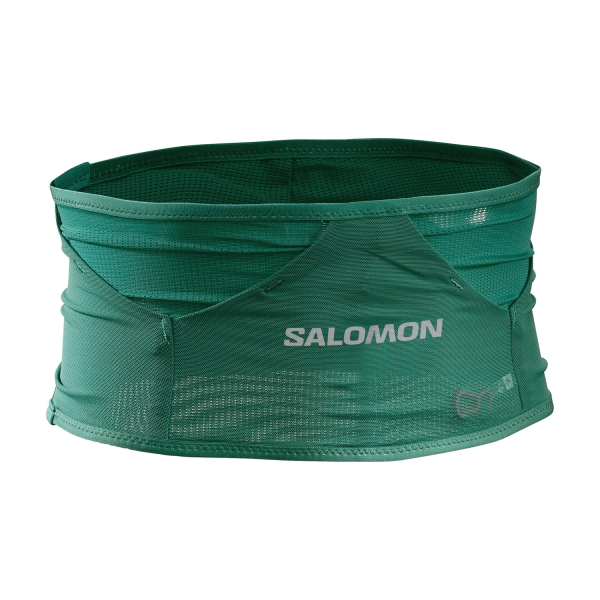 Hydration Belts Salomon ADV Skin Belt  Pacific LC1906600
