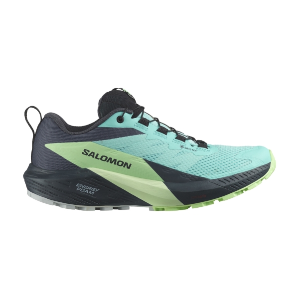 Women's Trail Running Shoes Salomon Sense Ride 5 GTX  Blue Radiance/Green Ash/India Ink L47216000