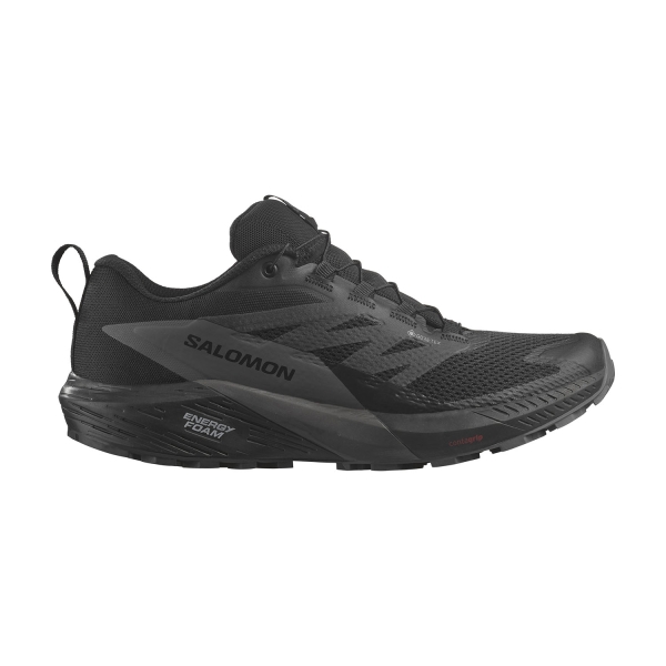 Zapatillas Trail Running Hombre Salomon Sense Ride 5 GTX  Black/Magnet L47147200