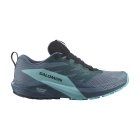Salomon Sense Ride 5 GTX - Carbon/Blue Radiance/China Blue