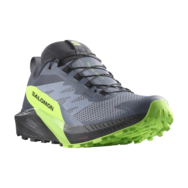 Salomon Sense Ride 5 GTX - Flint Stone/Black/Green Gecko