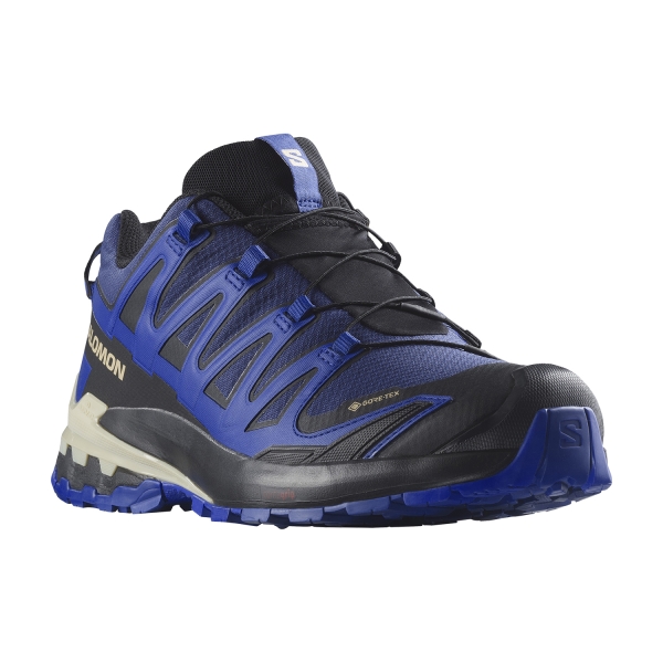 Salomon XA Pro 3D V9 GTX Men's Outdoor Shoes - Blue Print