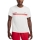 Nike Dri-FIT UV Miler Ekiden T-Shirt - Sail/Track Red/Hyper Pink/Medium Ash