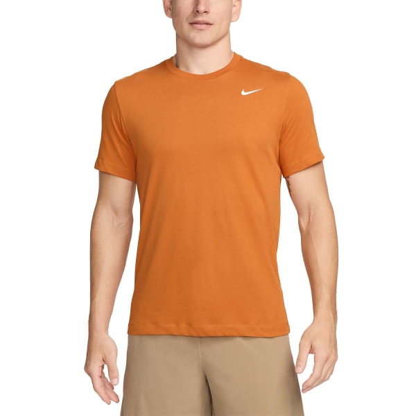 Men's Training T-Shirt Nike DriFIT Swoosh Logo TShirt  Monarch AR6029815