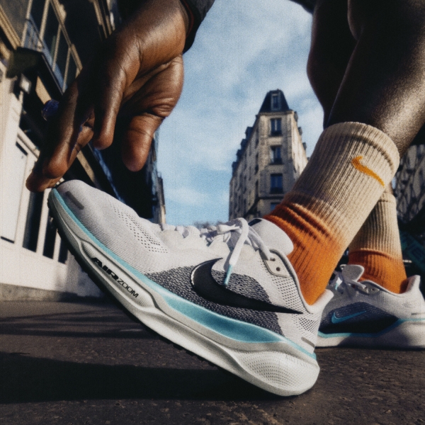 Nike Pegasus 41 - White/Dusty Cactus/Black/Glacier Blue