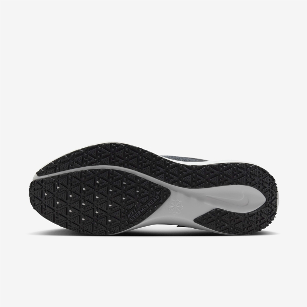 Nike Pegasus 41 GTX - Black/Summit White/Anthracite/Iron Grey