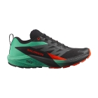 Salomon Sense Ride 5 - Black/Bay/Cherry Tomato