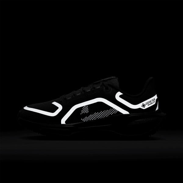 Nike Pegasus 41 GTX - Black/Anthracite