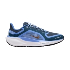 Nike Pegasus 41 GTX - Cobalt Bliss/Metalic Red Bronze/Armory Navy