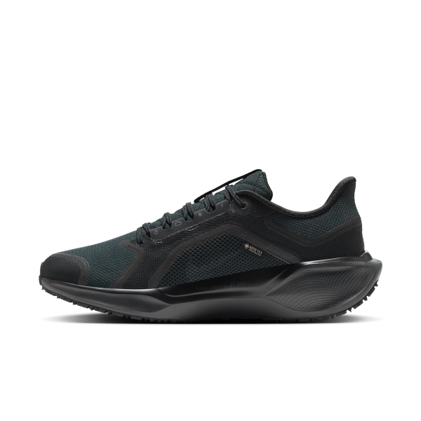 Nike Pegasus 41 GTX - Black/Anthracite