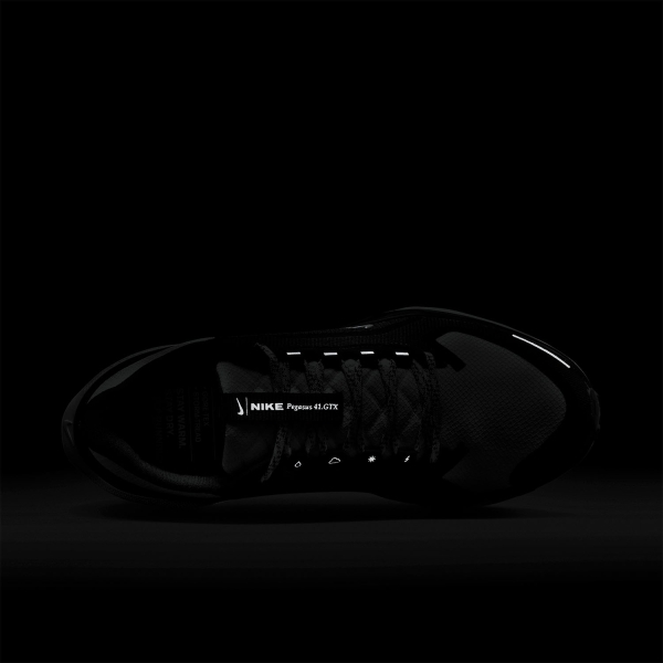 Nike Pegasus 41 GTX - Black/Summit White/Anthracite/Iron Grey