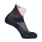 Salomon Pulse Socks - Icicle/Nine Iron/Neon Flame