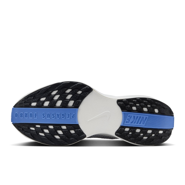 Nike Pegasus Plus - Aluminum/Black/Royal Pulse/White