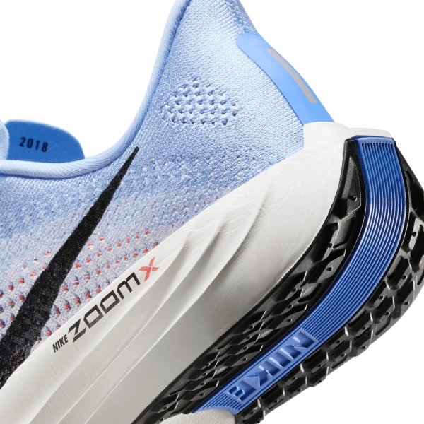 Nike Pegasus Plus - Aluminum/Black/Royal Pulse/White