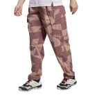 adidas Terrex Xploric Cargo Printed Pantaloni - Burgundy/Warm Clay/Preloved Fig/Preloved Crimson