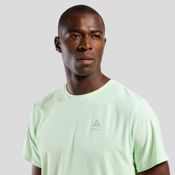 Odlo Zeroweight Chill-Tec Pro Camiseta - Ambrosia