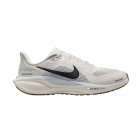 Nike Pegasus 41 - Sail/Anthracite/Blue Tint/Wolf Grey
