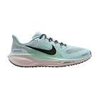 Nike Pegasus 41 - Glacier Ice/Black/Mint Foam/Hyper Pink