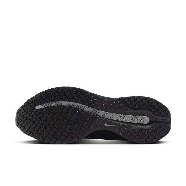 Nike Pegasus Premium - Black/Metallic Silver