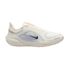 Nike Pegasus 41 GTX - Sail/Ashen Slate/Football Grey/Sundial