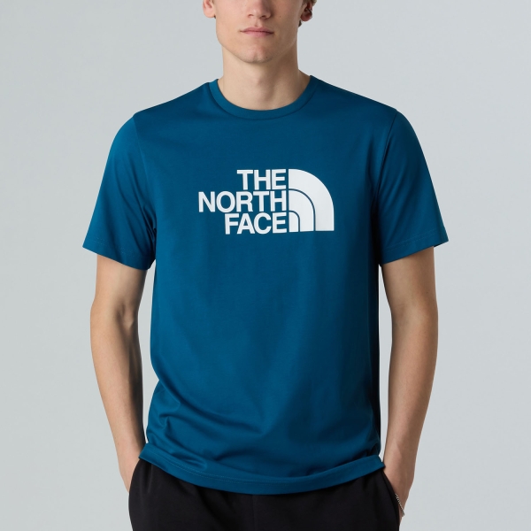 Magliette Outdoor Uomo The North Face Easy Maglietta  Mineral Ink NF0A8A6CBSI