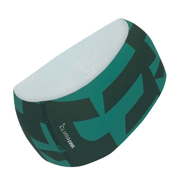 adidas Terrex Climacool Graphic Fascia - Aurora Ivy/Pure Teal