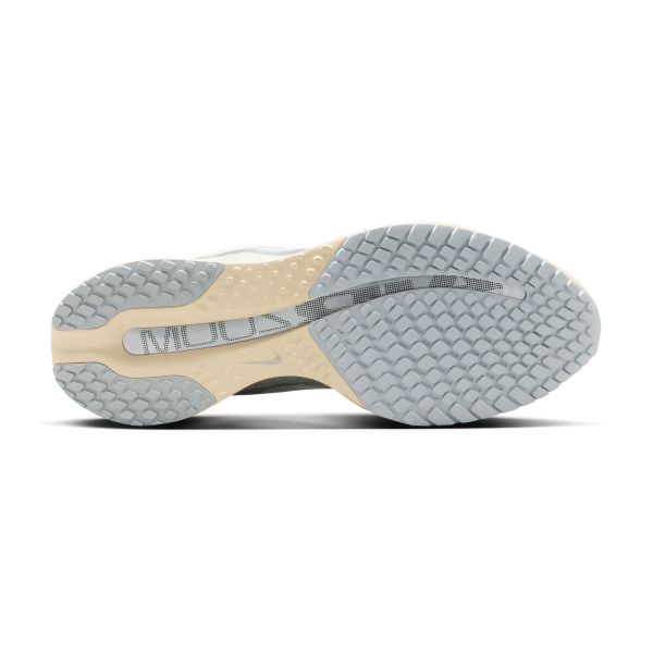 Nike Pegasus Premium - Platinum Tint/Reflective Silver/Grey Fog
