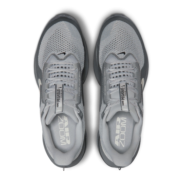 Nike Pegasus Premium - Wolf Grey/Sail/Cool Grey/Anthracite