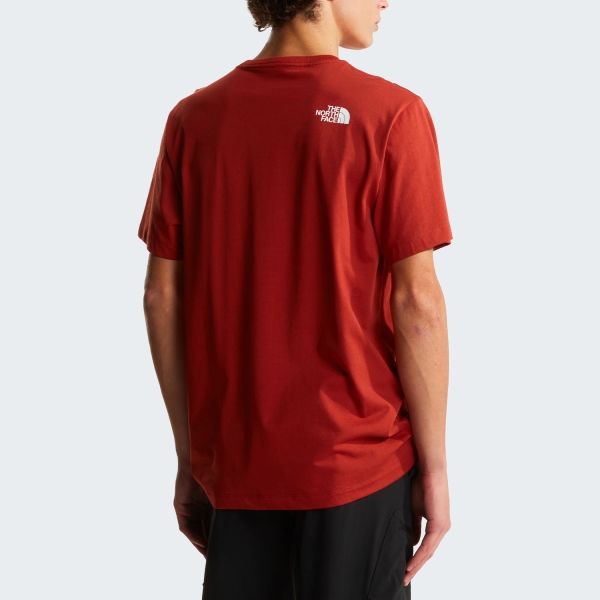 The North Face Evolution Half Dome T-Shirt - Iron Clay