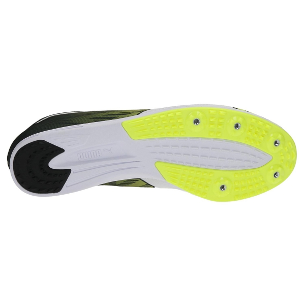 puma evospeed distance 8