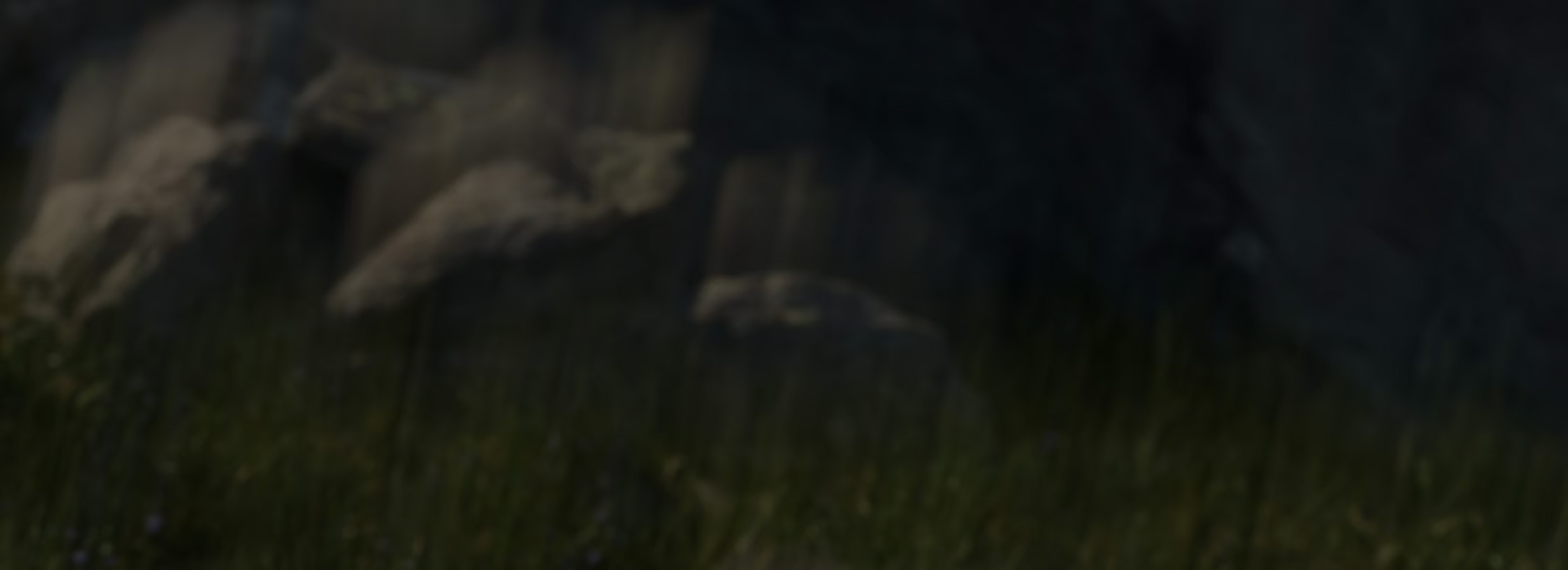 adidas Terrex Agravic Speed Ultra 2