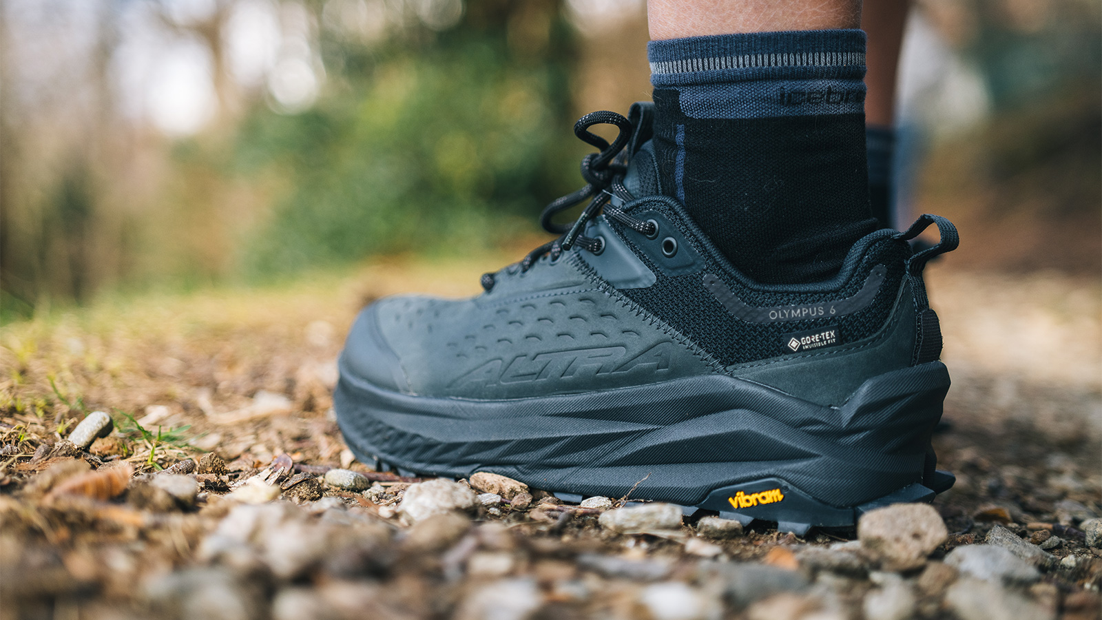 Olympus 6 Hike Low GTX